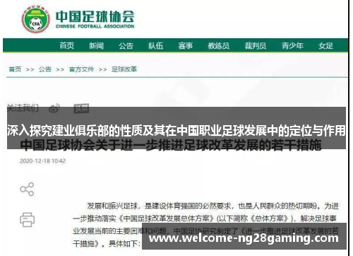 深入探究建业俱乐部的性质及其在中国职业足球发展中的定位与作用
