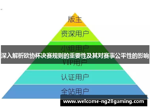 深入解析欧协杯决赛规则的重要性及其对赛事公平性的影响