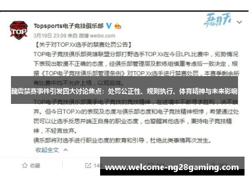 魏震禁赛事件引发四大讨论焦点：处罚公正性、规则执行、体育精神与未来影响