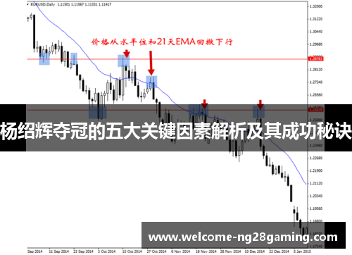 杨绍辉夺冠的五大关键因素解析及其成功秘诀